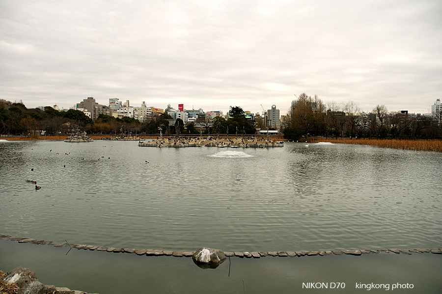 ueno park 50.jpg - 上野公園